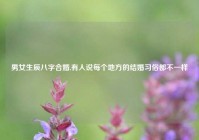 男女生辰八字合婚,有人说每个地方的结婚习俗都不一样
