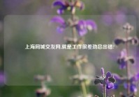 上海同城交友网,就是工作很差劲总出错?