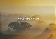 向,风是从哪个方向吹的