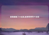 爱情睡醒了大结局,姜理敬素妍大结局