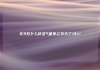 伏天吃什么除湿气最快,初伏来了7月12?