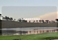 ruo,ruo的成语接龙有哪些