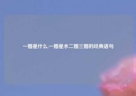 一婚是什么,一婚是水二婚三婚的经典语句