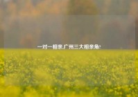 一对一相亲,广州三大相亲角?