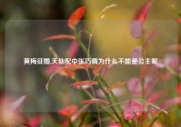 黄梅征婚,天仙配中张巧嘴为什么不能是公主呢