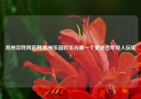 苏州百姓网官网,苏州乐园欢乐谷哪一个更适合年轻人玩呢?