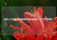 女招上门女婿,今后是嫁出去好还是招一个上门女婿好?