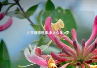 北京征婚启事,本人今年50岁?