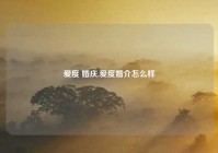 爱度 婚庆,爱度婚介怎么样