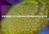 高情商的撩人句子,有哪些很有诗意很有哲理的句子或文章?