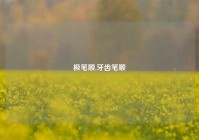 极笔顺,牙齿笔顺