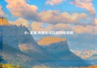 小s 家暴,有哪些可以追的电视剧