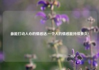 最能打动人心的情感话,一个人的情感能持续多久?