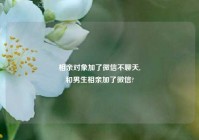 相亲对象加了微信不聊天,
和男生相亲加了微信?