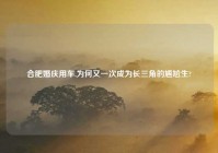 合肥婚庆用车,为何又一次成为长三角的尴尬生?