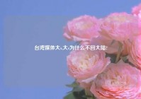 台湾媒体大s,大s为什么不回大陆?