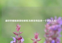 最好的婚姻是嫁给爱情,如果非得选择一个该怎么选?