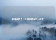 石家庄婚介公司,重阳婚介怎么收费?