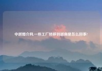 中越婚介网,一些工厂转移到越南是怎么回事?