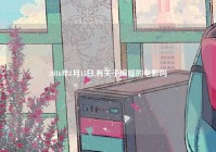 2016年8月15日,有关于蝙蝠的电影吗