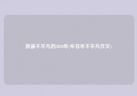 致最不平凡的2020年(辛丑年不平凡作文)