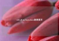 with all my heart,chara语录英文