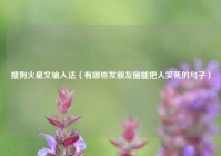 搜狗火星文输入法（有哪些发朋友圈能把人笑死的句子）