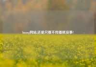 huang网站,还是只要不传播就没事?