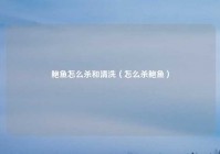 鲍鱼怎么杀和清洗（怎么杀鲍鱼）