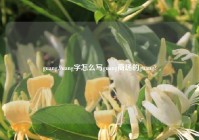 guang,9uang字怎么写guang商场的guang?