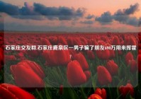 石家庄交友群,石家庄鹿泉区一男子骗了朋友690万用来挥霍?