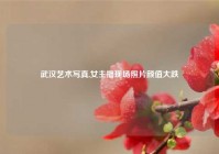 武汉艺术写真,女主播现场照片颜值大跌