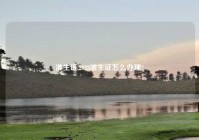 准生证,2023准生证怎么办理?