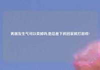 男朋友生气可以卖掉吗,他总是下班回家就打游戏?