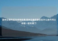 温州交警网违章查询处理,温州交通违章后在什么地方可以全部一起处理了?