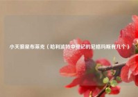 小天狼星布莱克（哈利波特中登记的尼格玛斯有几个）