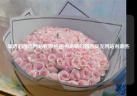 靠谱的婚恋网站有哪些,国内高端的婚恋交友网站有哪些