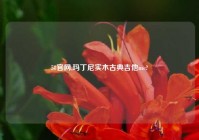 58官网,玛丁尼实木古典吉他mc?