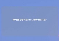 康乃馨花语代表什么,卖康乃馨文案?