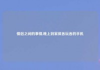 情侣之间的事情,晚上到家就各玩各的手机