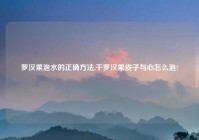 罗汉果泡水的正确方法,干罗汉果皮子与心怎么泡?