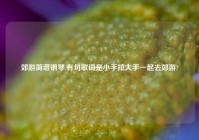 郊游简谱钢琴,有句歌词是小手拉大手一起去郊游?