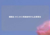 婚姻法 小三,小三将被追究什么法律责任