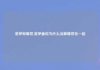 亚梦和唯世,亚梦最后为什么没跟唯世在一起