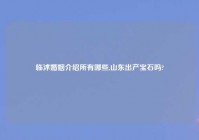 临沭婚姻介绍所有哪些,山东出产宝石吗?