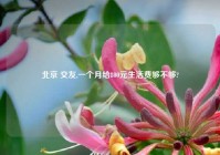 北京 交友,一个月给800元生活费够不够?