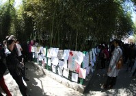 贵阳征婚相亲去哪里？这几个地方成功率高！