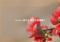 win7sp1（这个SP1是什么意思呀）