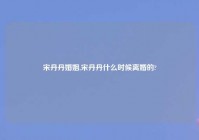 宋丹丹婚姻,宋丹丹什么时候离婚的?