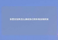 东营交友网,怎么测试自己的车有没有积炭